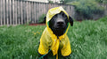 Dog Coat – Warm & Stylish Outerwear for Dogs